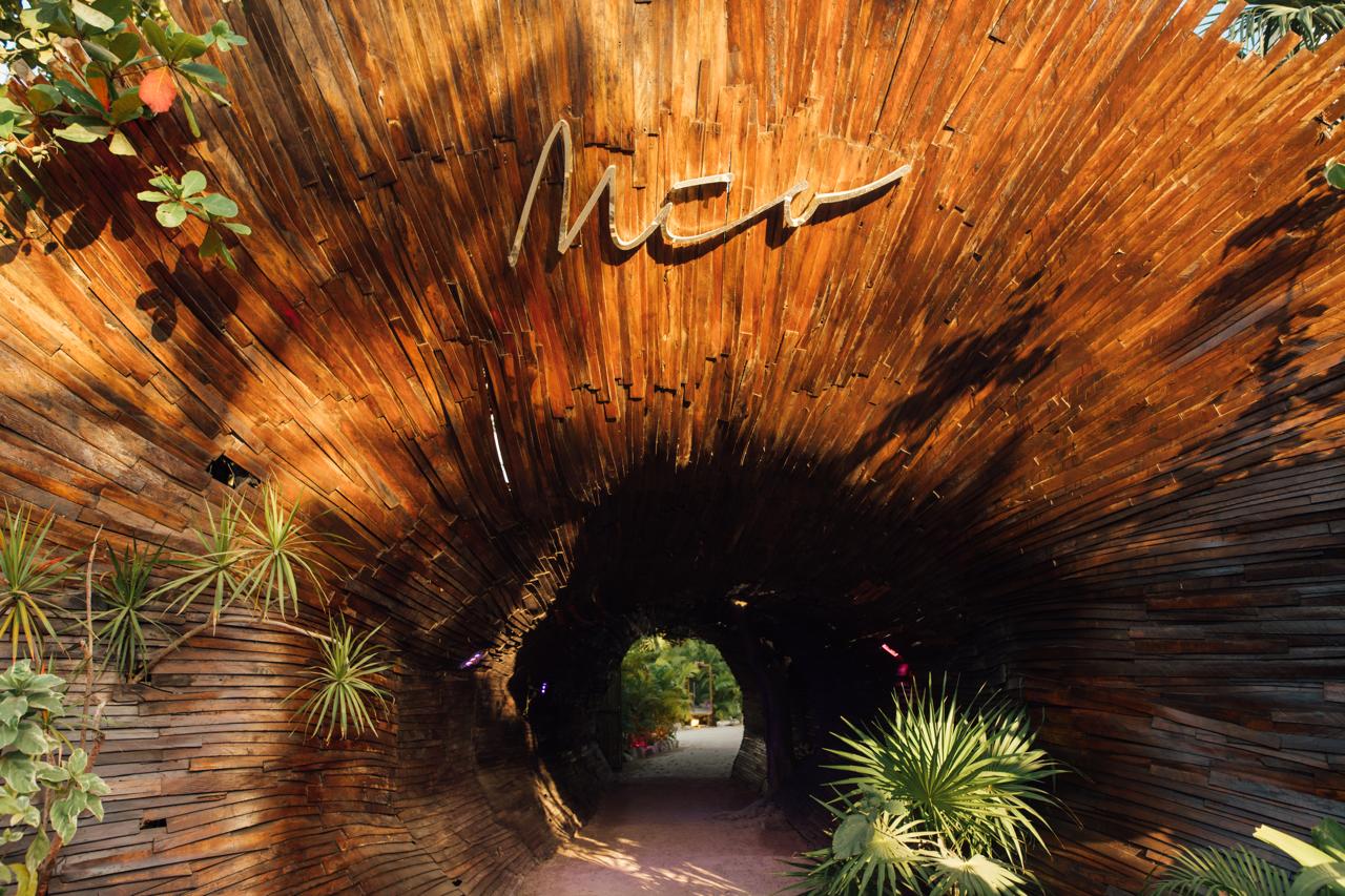 Artistic palm-thatch installation