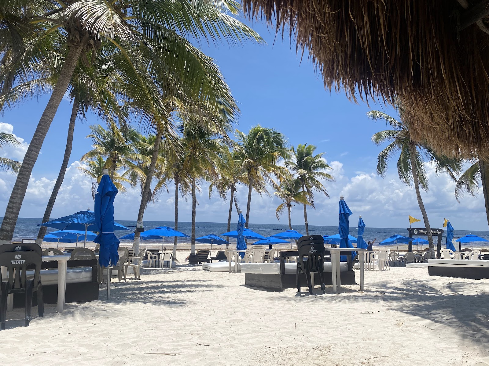 Blue umbrellas and loungers lining the beach in Tulum