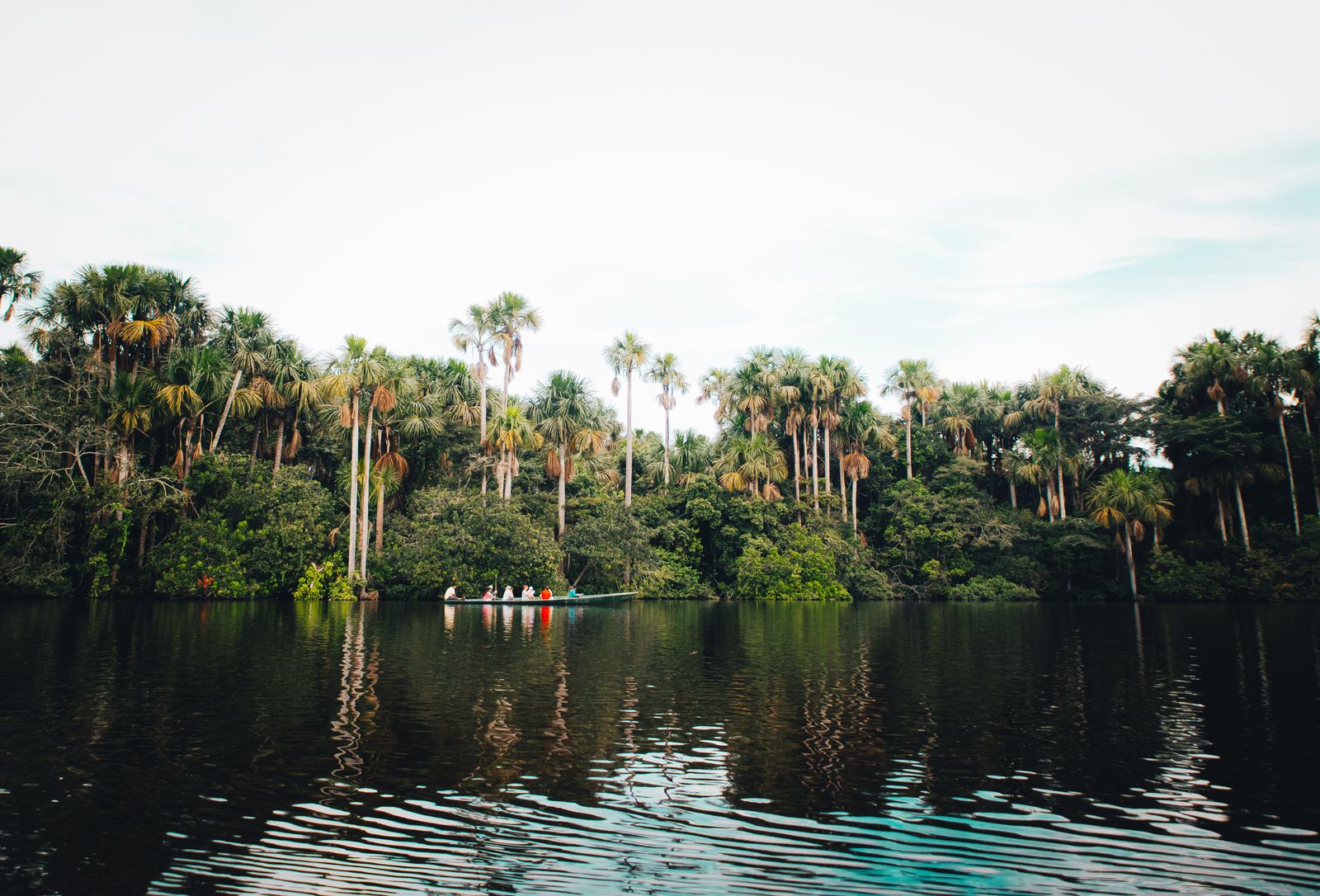 Calm lagoon fringed by palm trees in the Mexican jungle