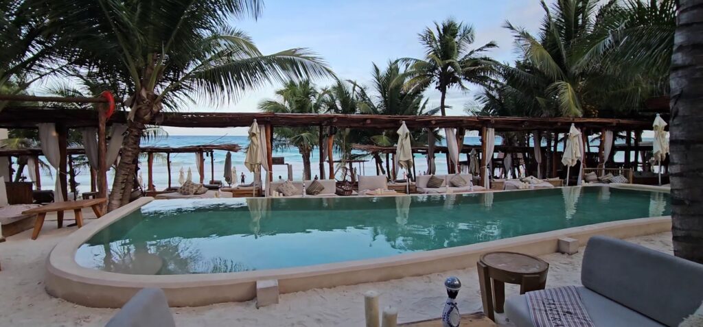 Clean swimming pool with loungers and palm trees in the background
