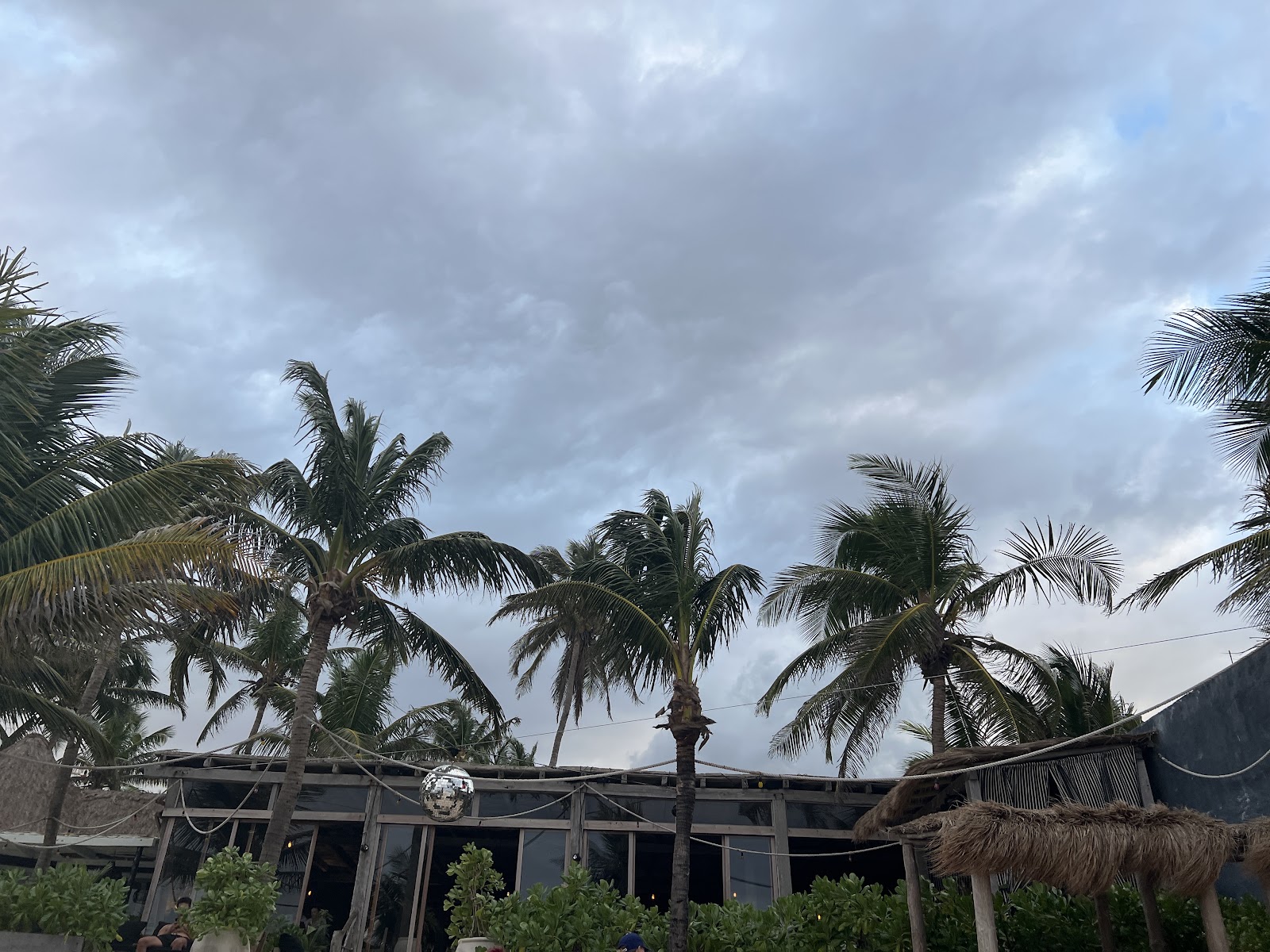 Cloudy sky over the palms and beach
