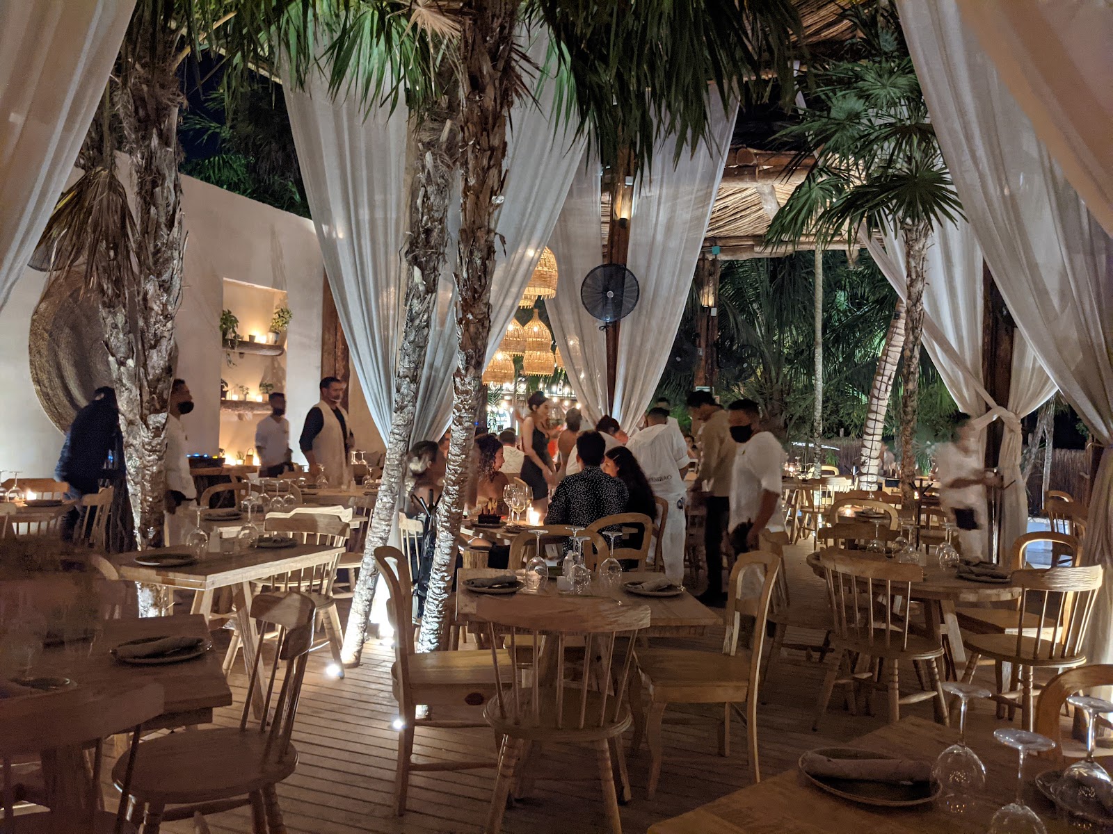 Curtained dining area shaded by palm trees