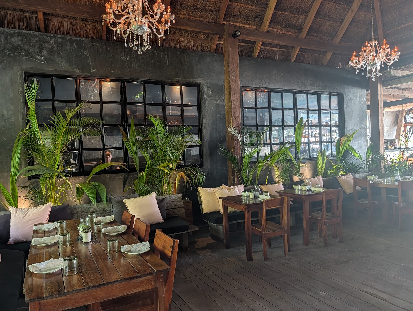 Dining room with large windows and lush plants