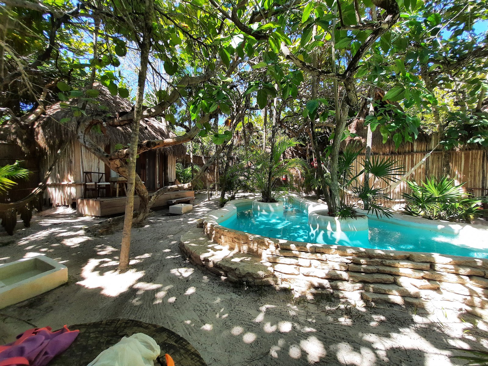 Garden pool area for gatherings