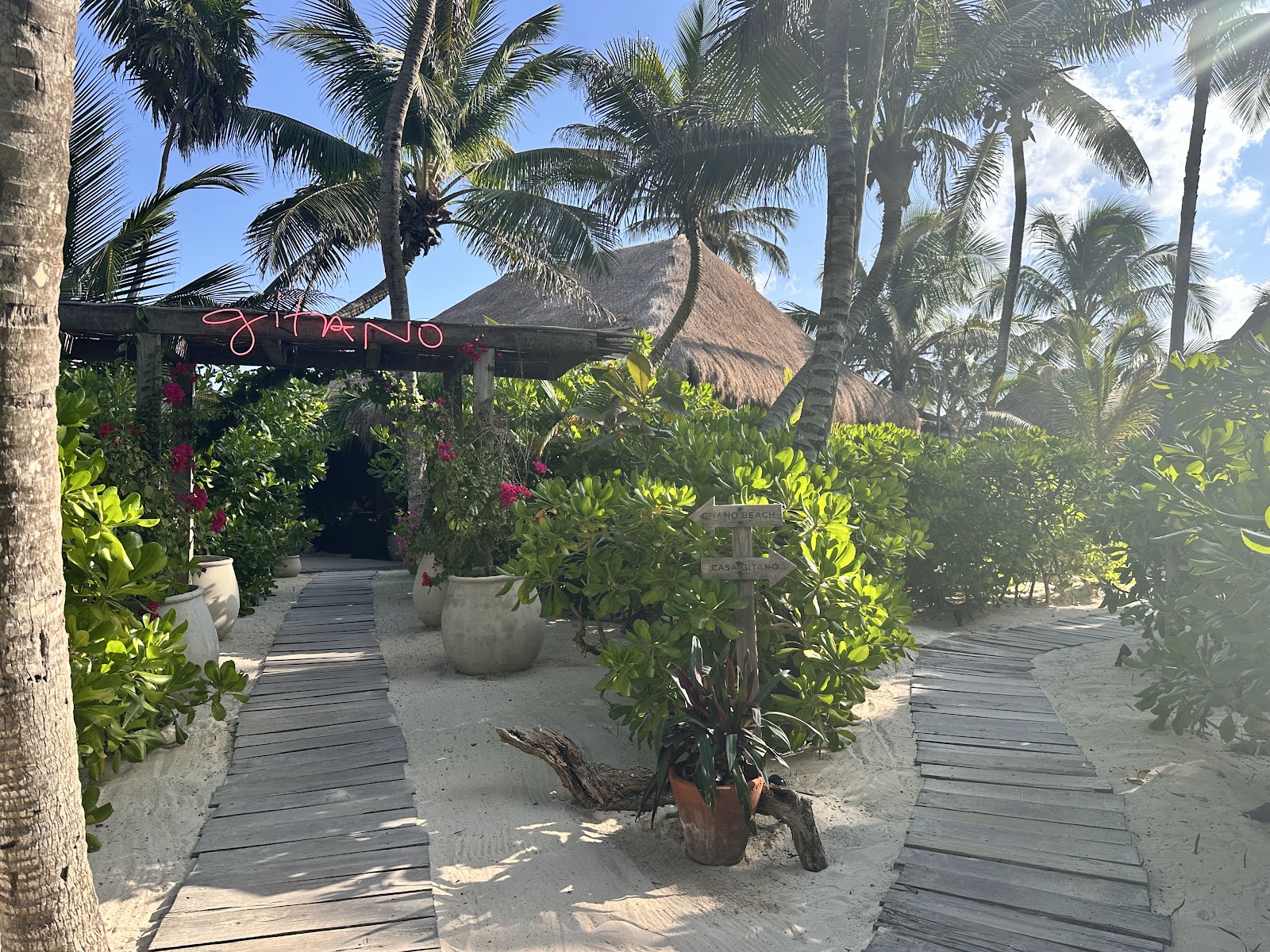 Garden walkway lined with tropical plants