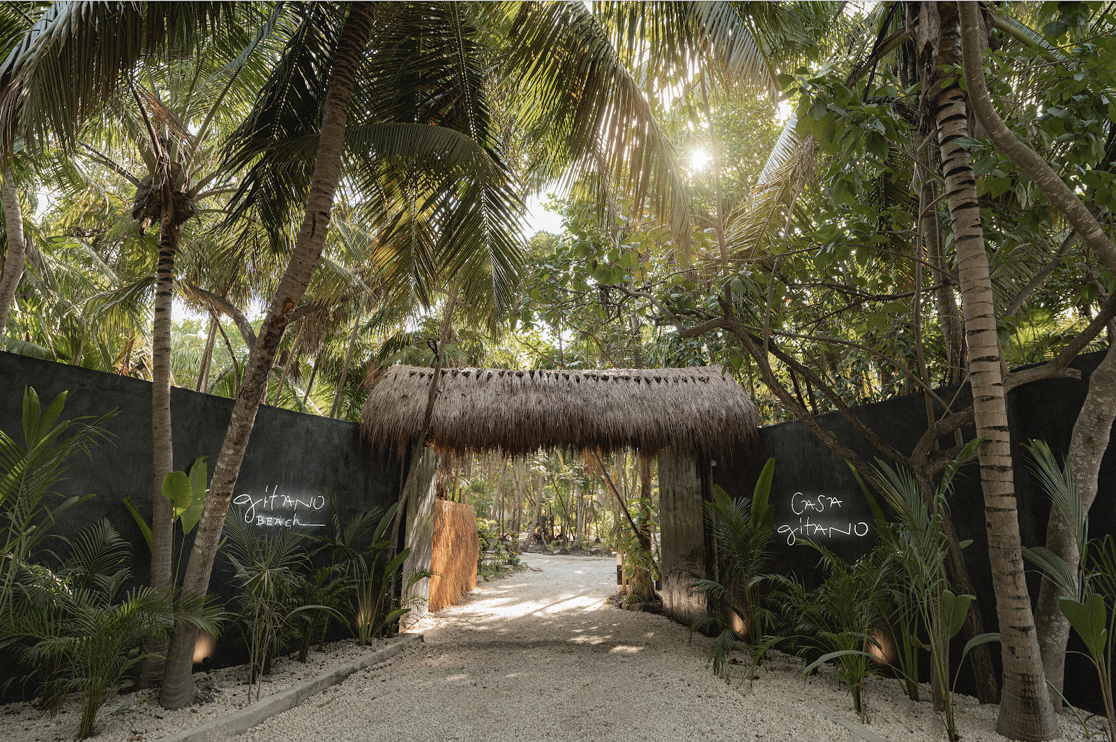 Jungle entrance path leading to Gitano Beach