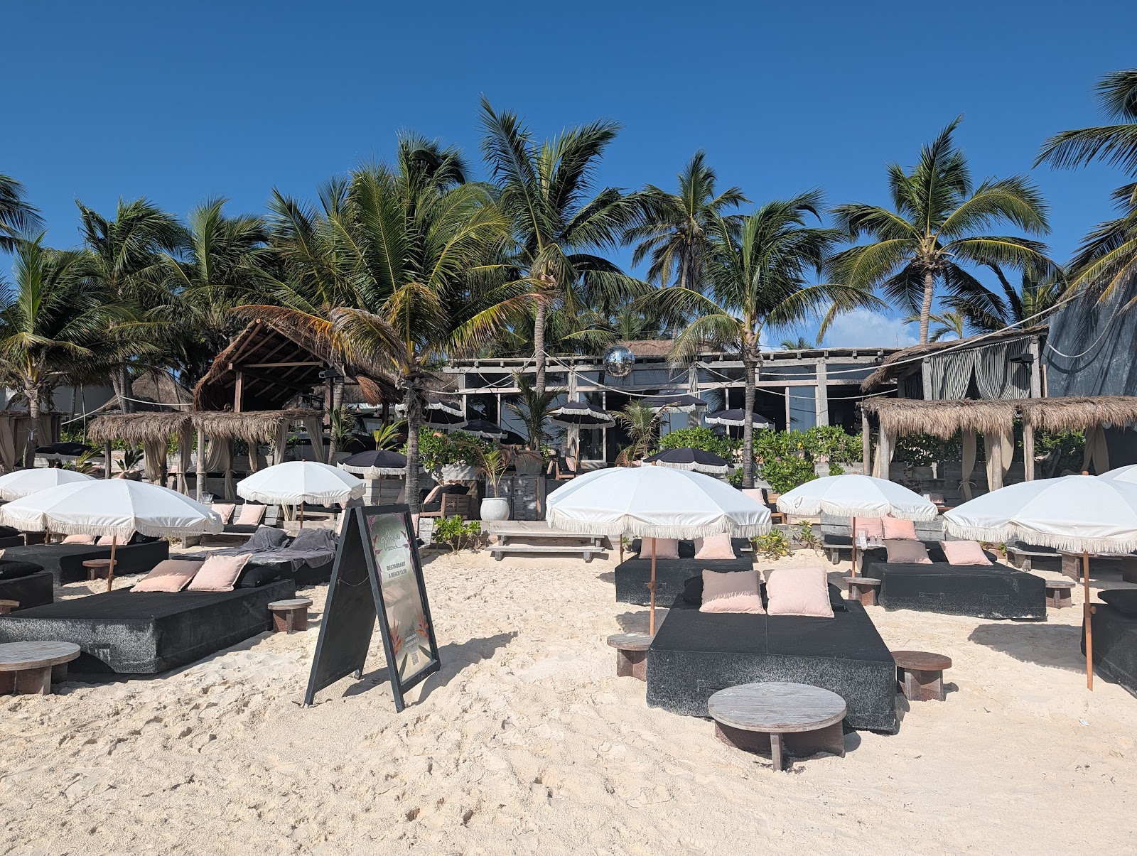 Gitano Beach loungers and umbrellas under palm trees