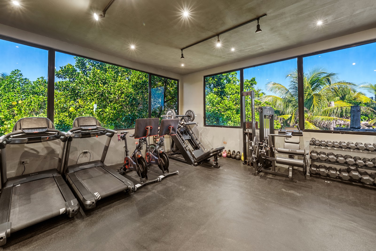 Gym with cardio machines and jungle views