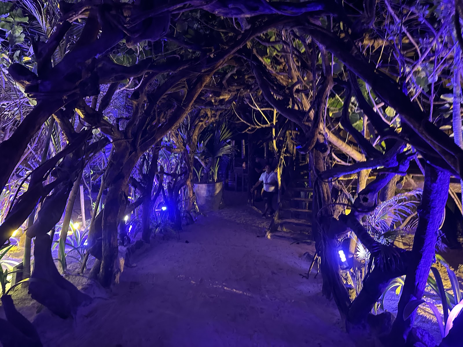 Illuminated tunnel glowing with purple lights