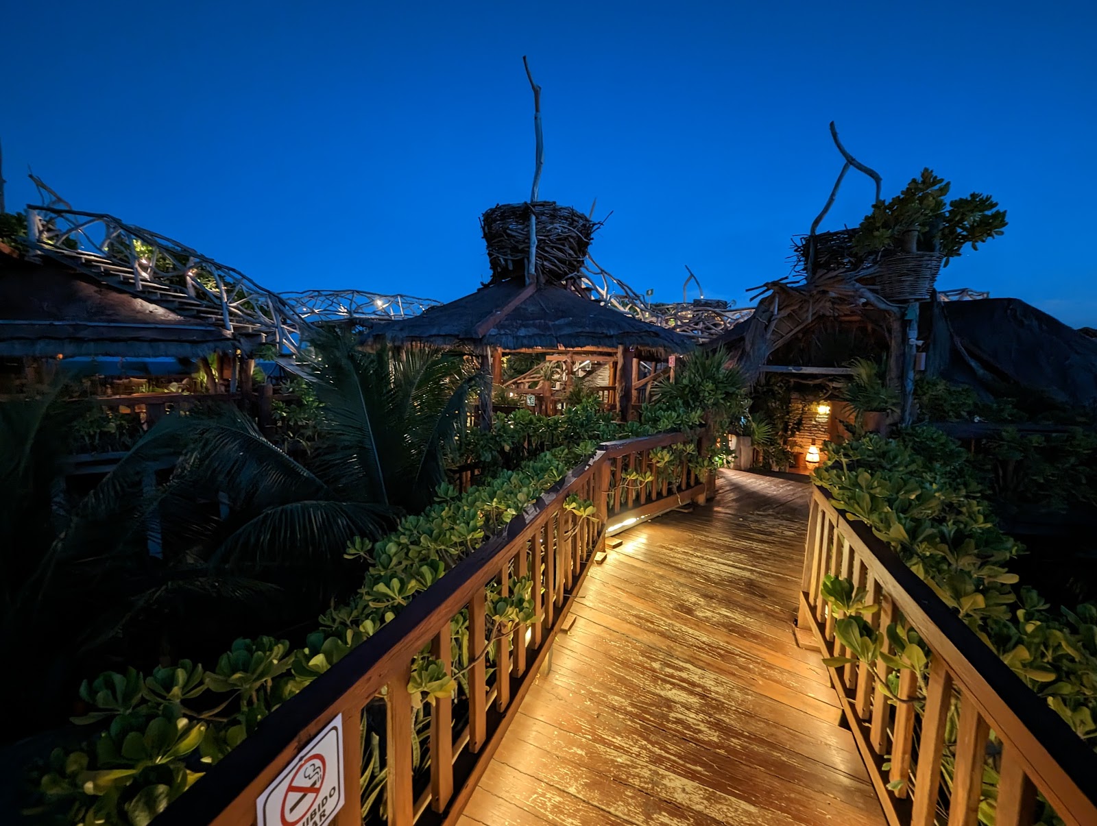 Illuminated wooden walkway at night