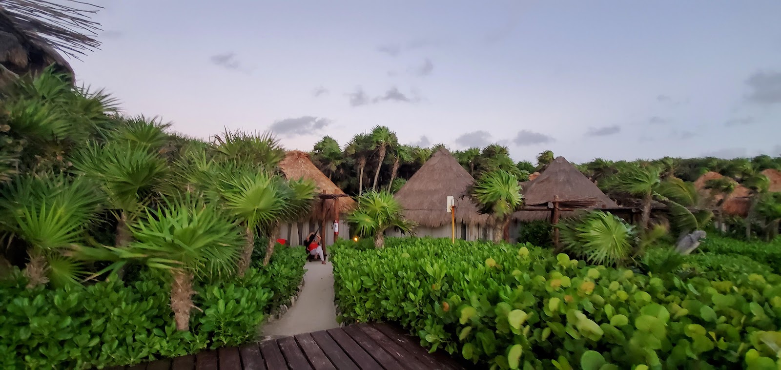 Jungle pathway leading to thatched casitas