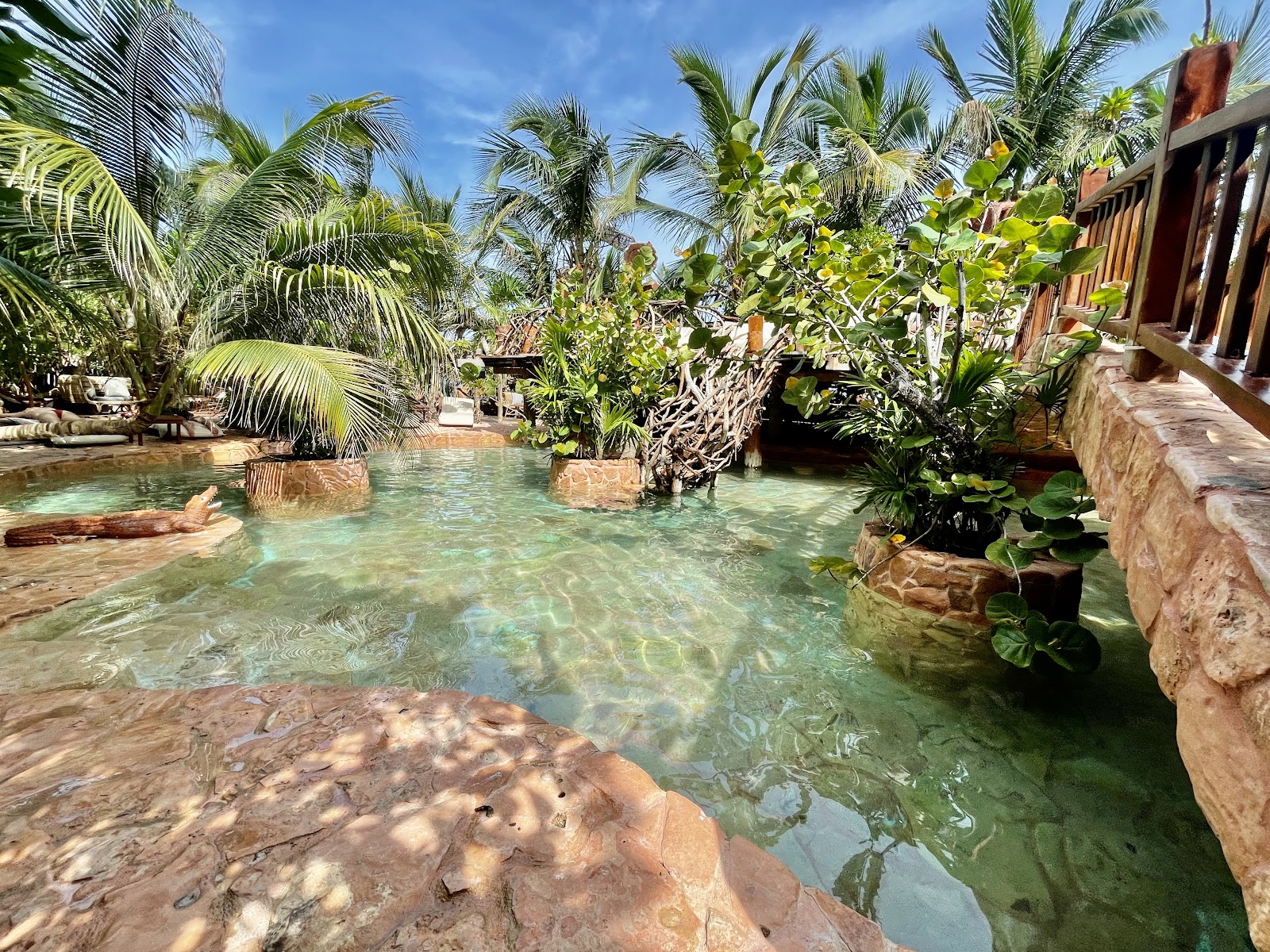 Jungle pool surrounded by tropical plants
