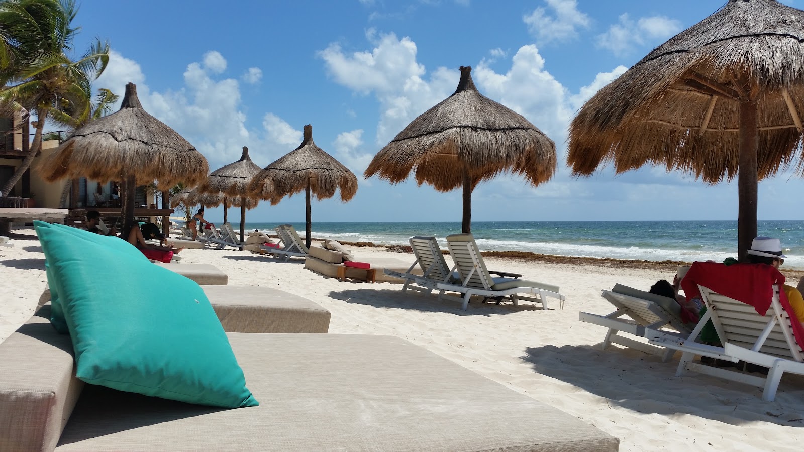 La Zebra beach loungers and palapa umbrellas on the sand