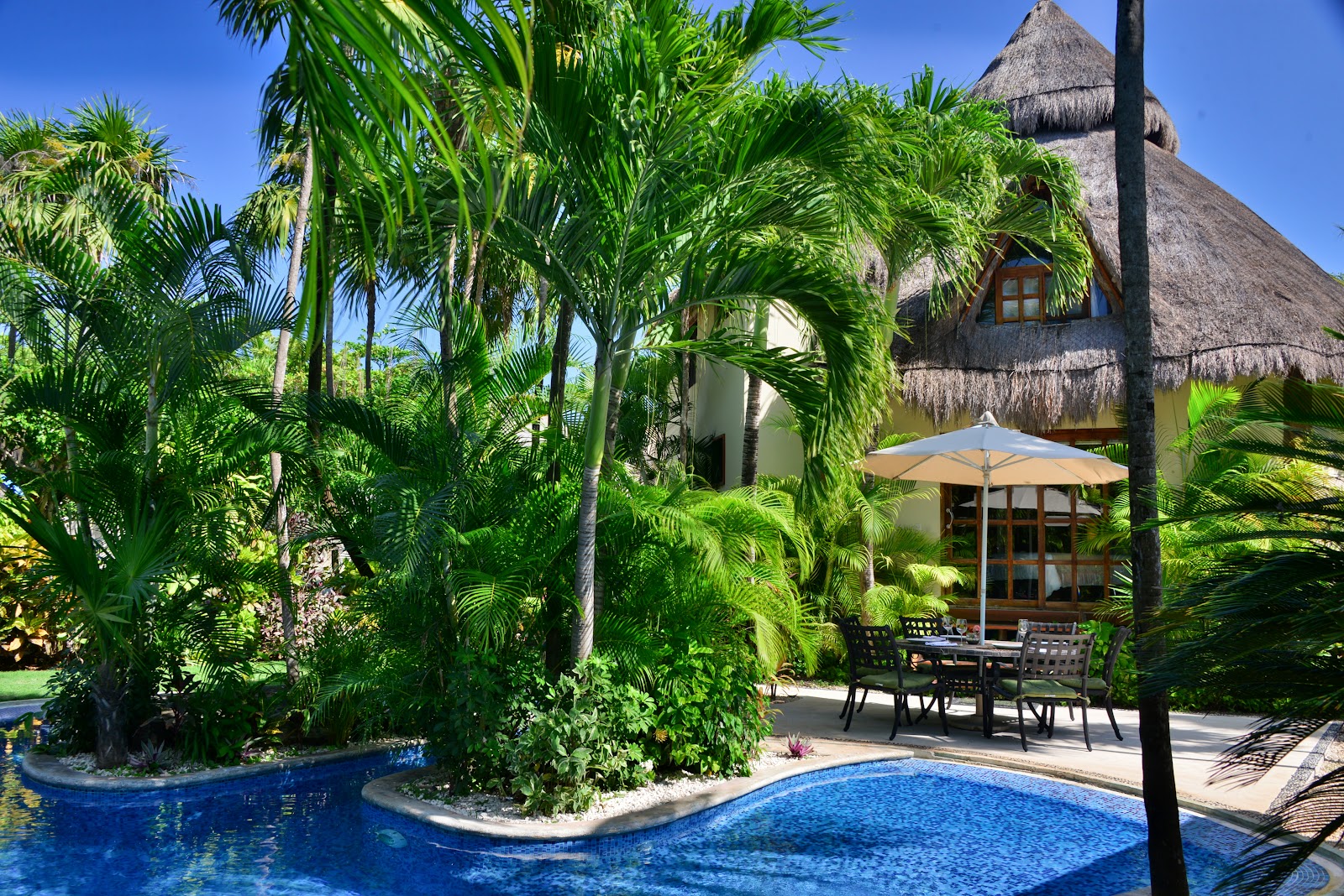 Lush palm trees and garden around the pool