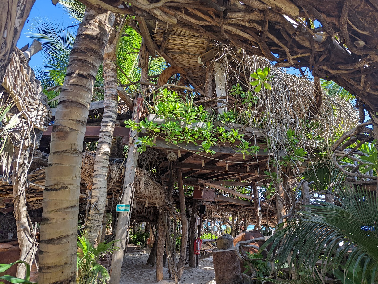 Natural wood structures and jungle vegetation
