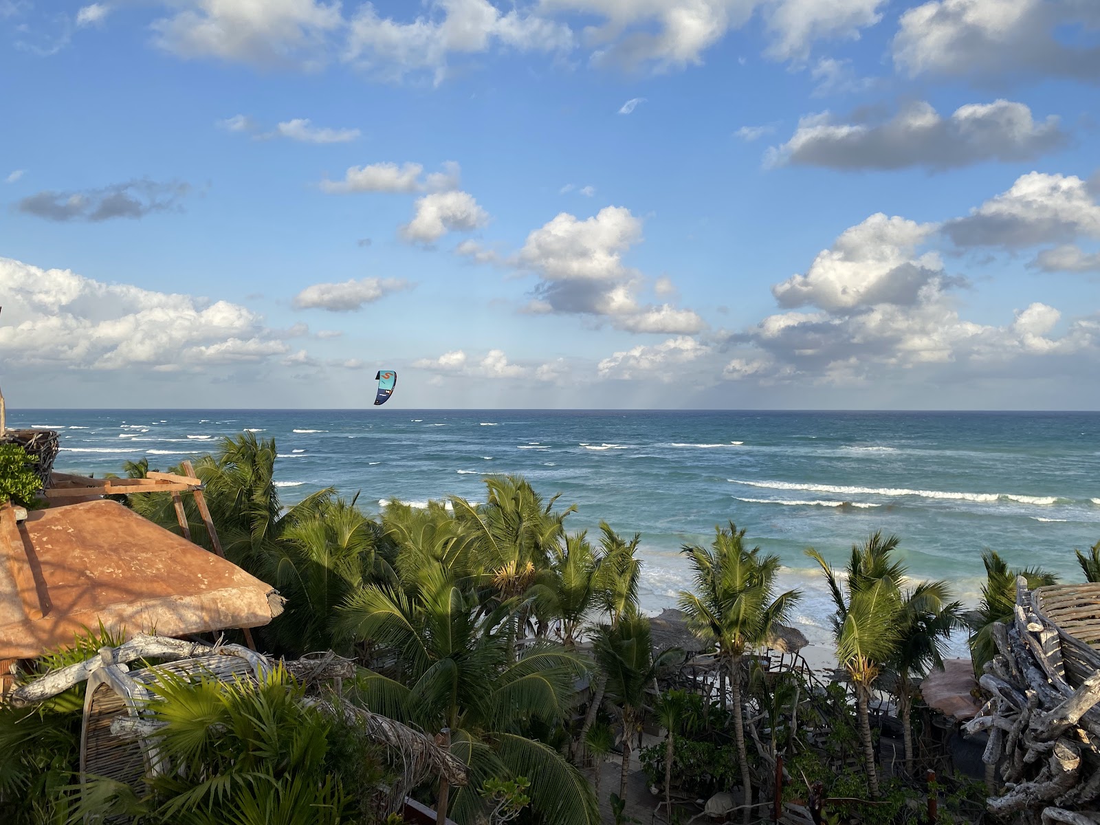 Ocean view over rooftops and palm trees
