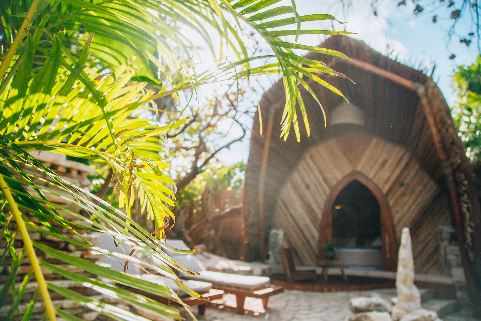 Organic arched architecture framed by palms