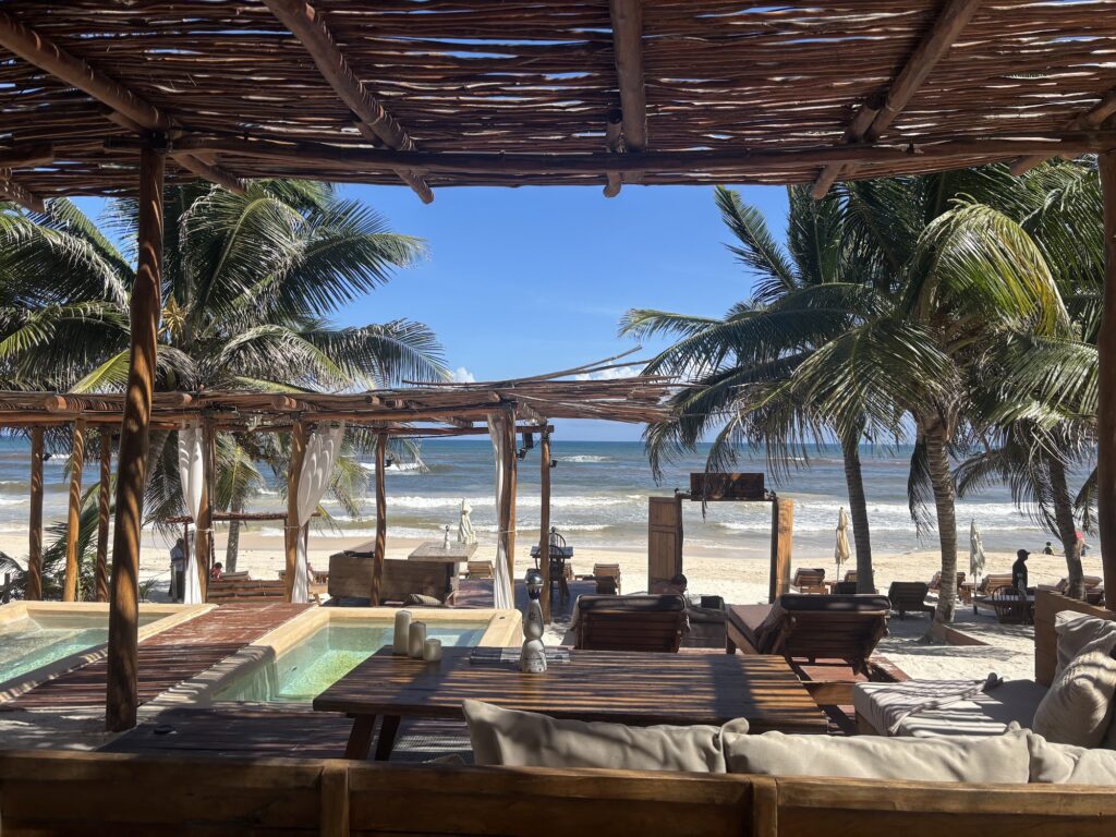 Shaded palapa cabanas looking out to the sea and palm trees