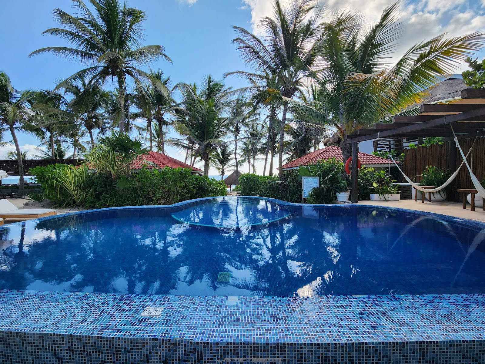 Palm-lined swimming pool under a clear blue sky in Tulum