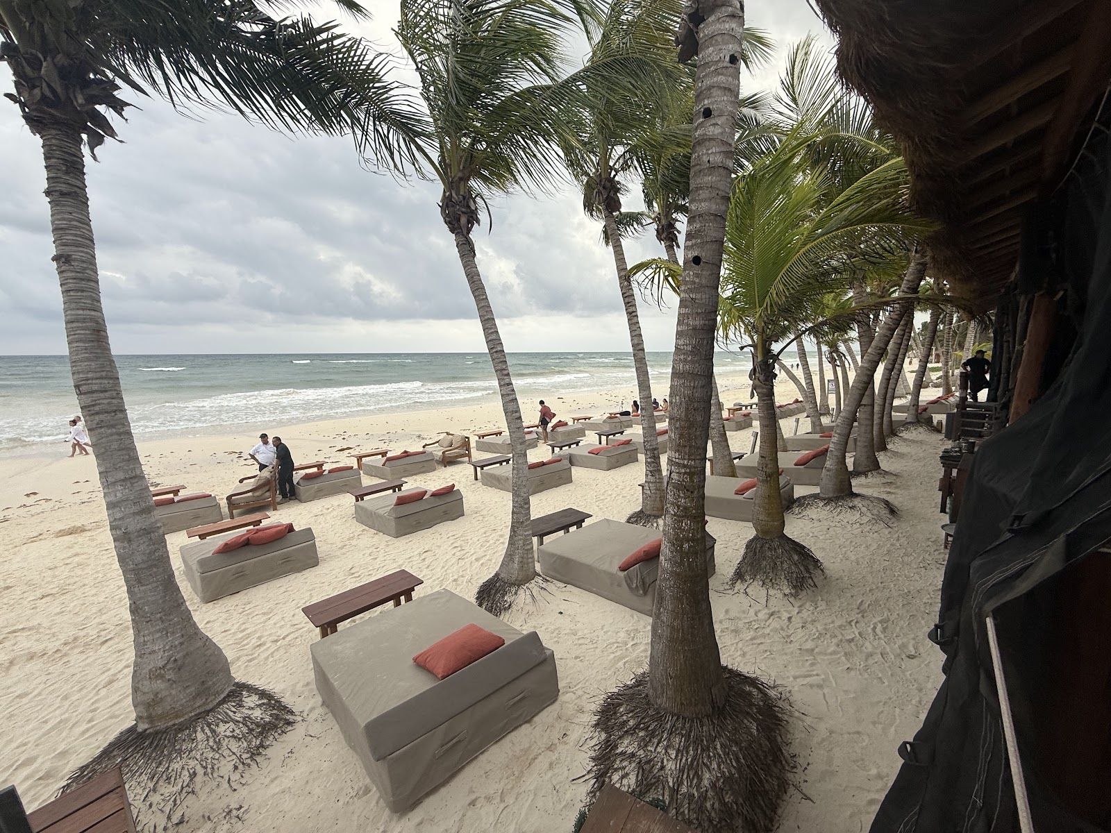 Palm-shaded beach with sunbeds