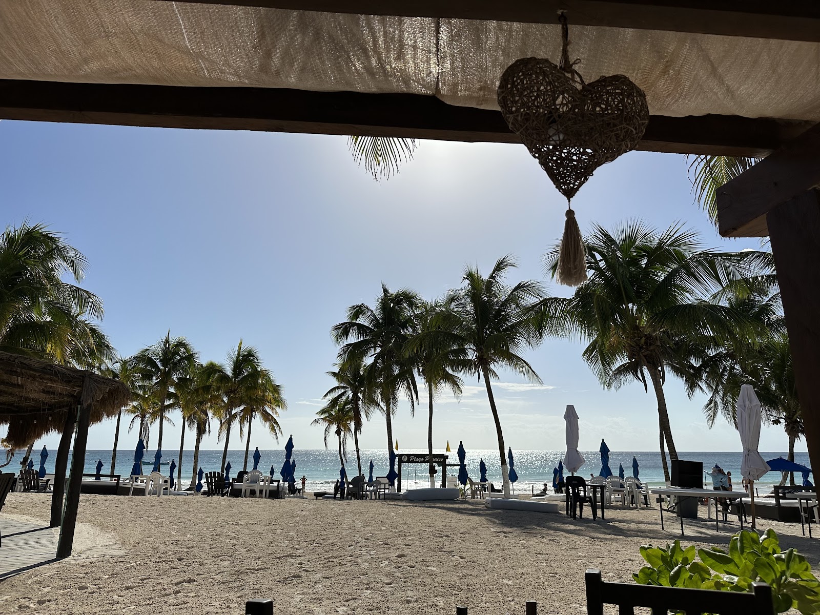 Palm trees and the beach seen from under a palapa