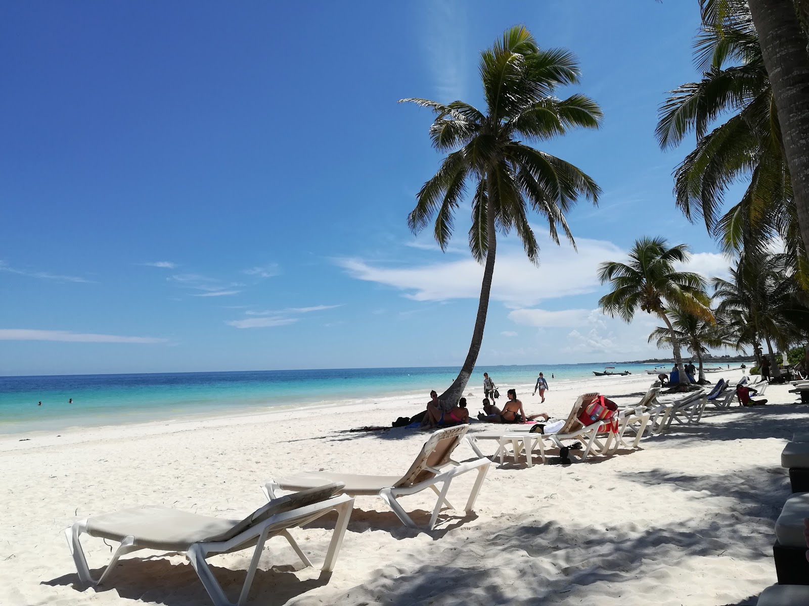 Palm trees and sunbathers along the white sand beach