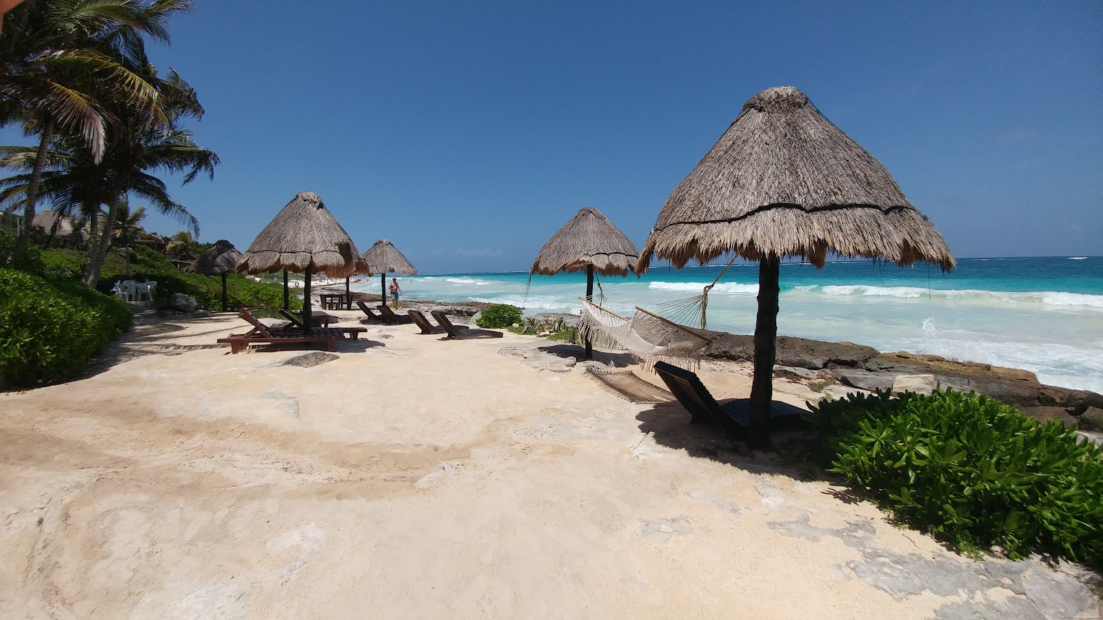 Palapa umbrellas on the white sand beach at Papaya Playa Project