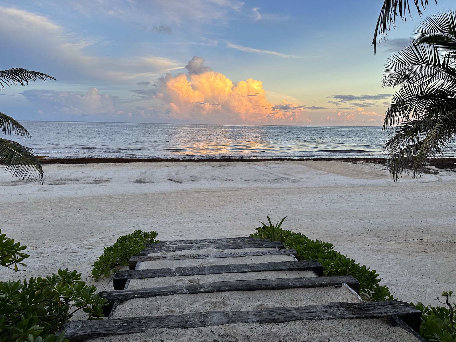 Pastel sunrise over the beach in Tulum