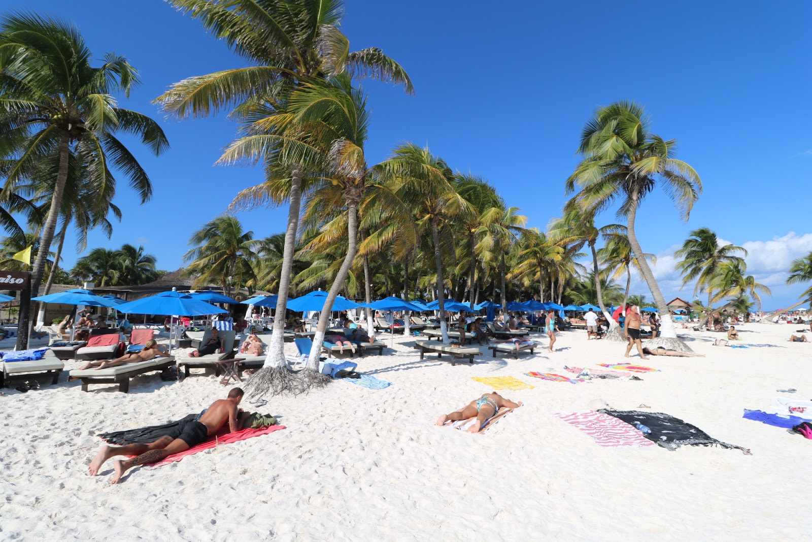 Guests relaxing on sunbeds at Playa Paraíso Beach Club