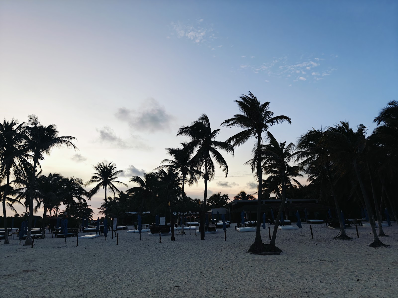 Palm tree silhouettes at sunset on Playa Paraíso