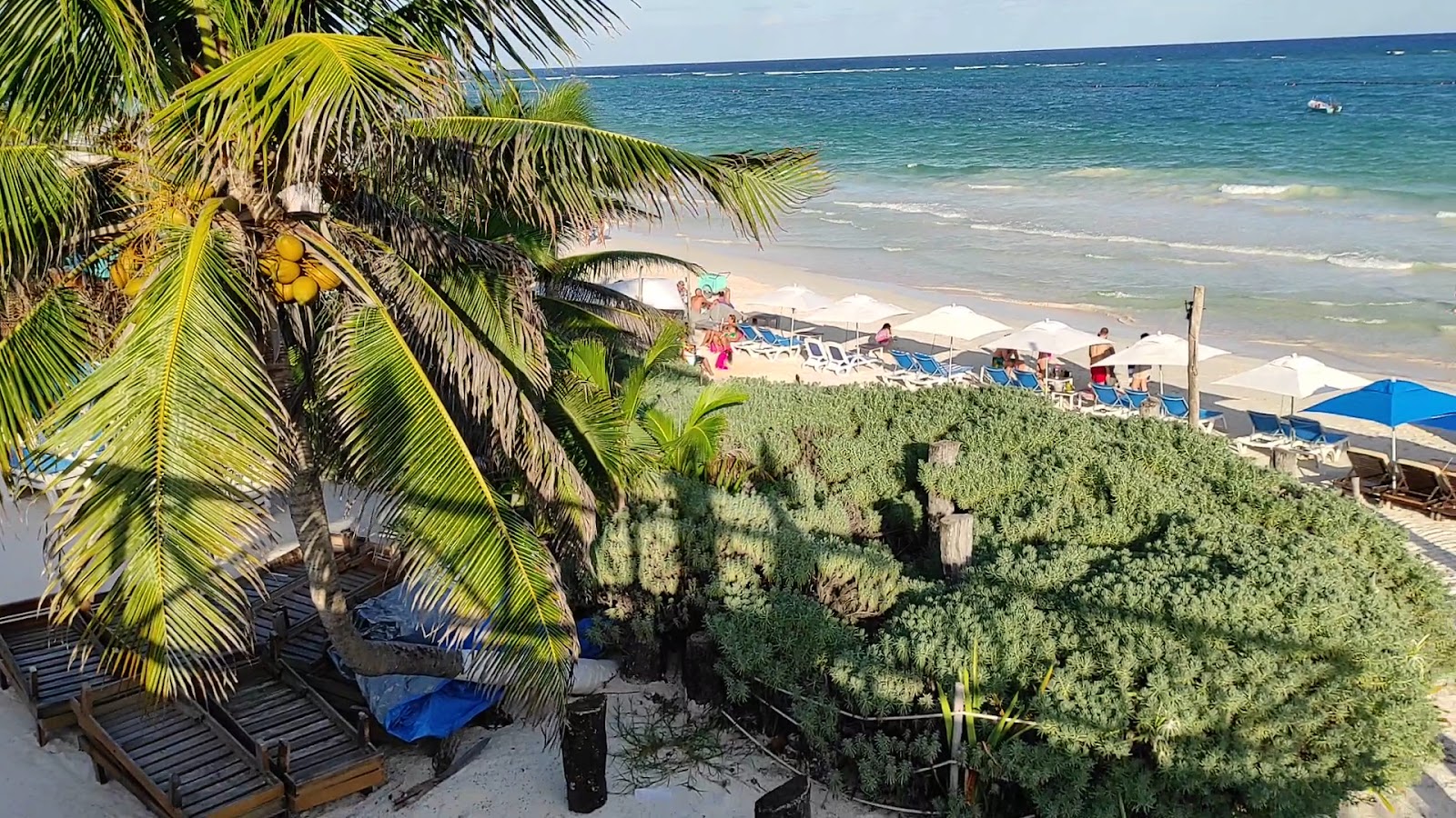 Playa Paraíso overlooking the Caribbean from the dunes