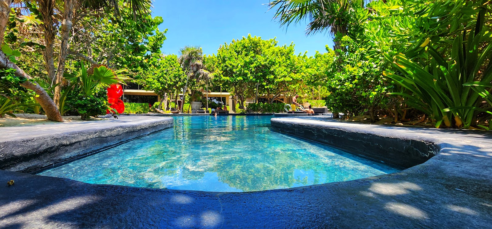 Swimming pool framed by lush tropical plants