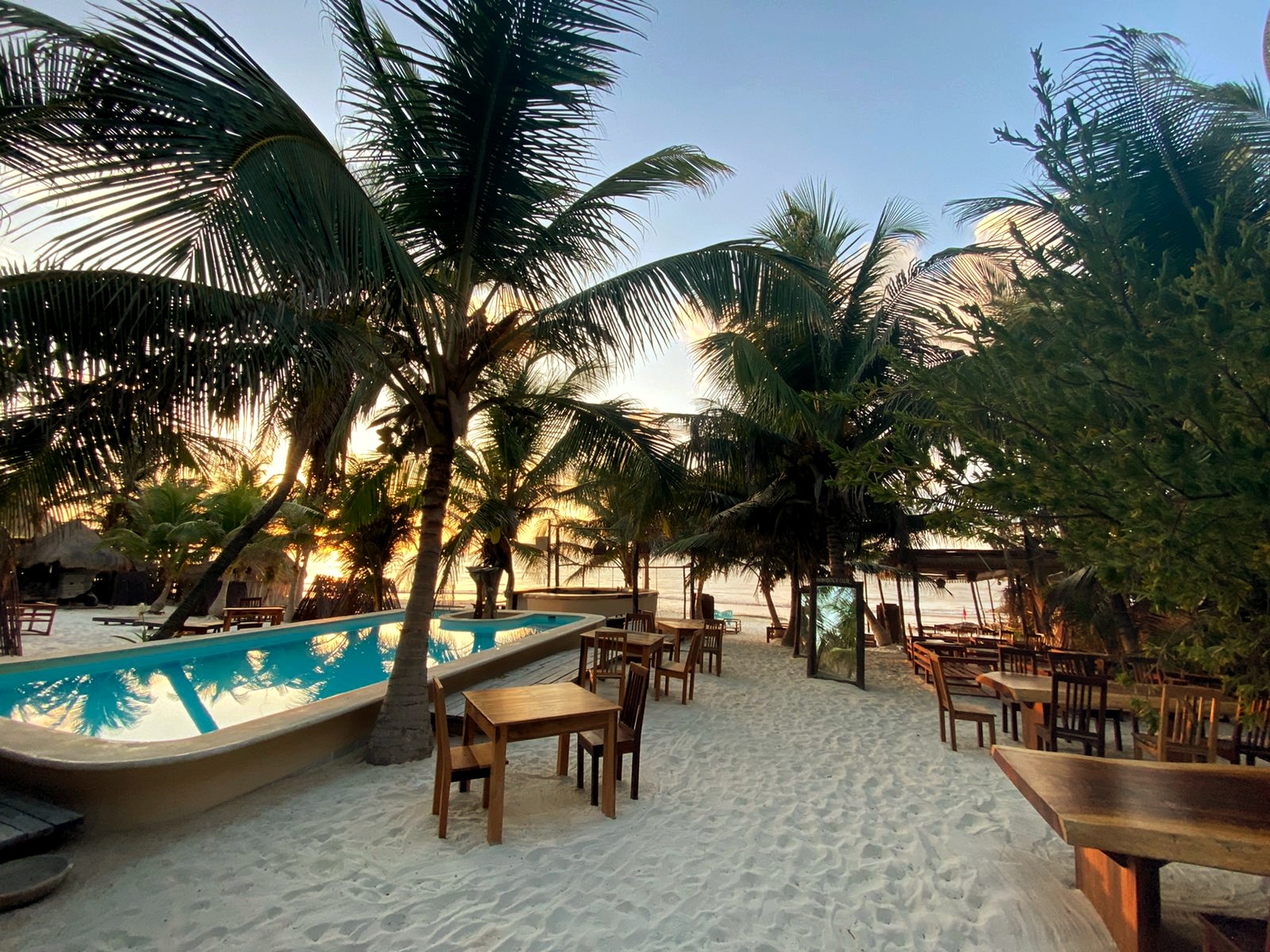 Swimming pool surrounded by tables and palm trees