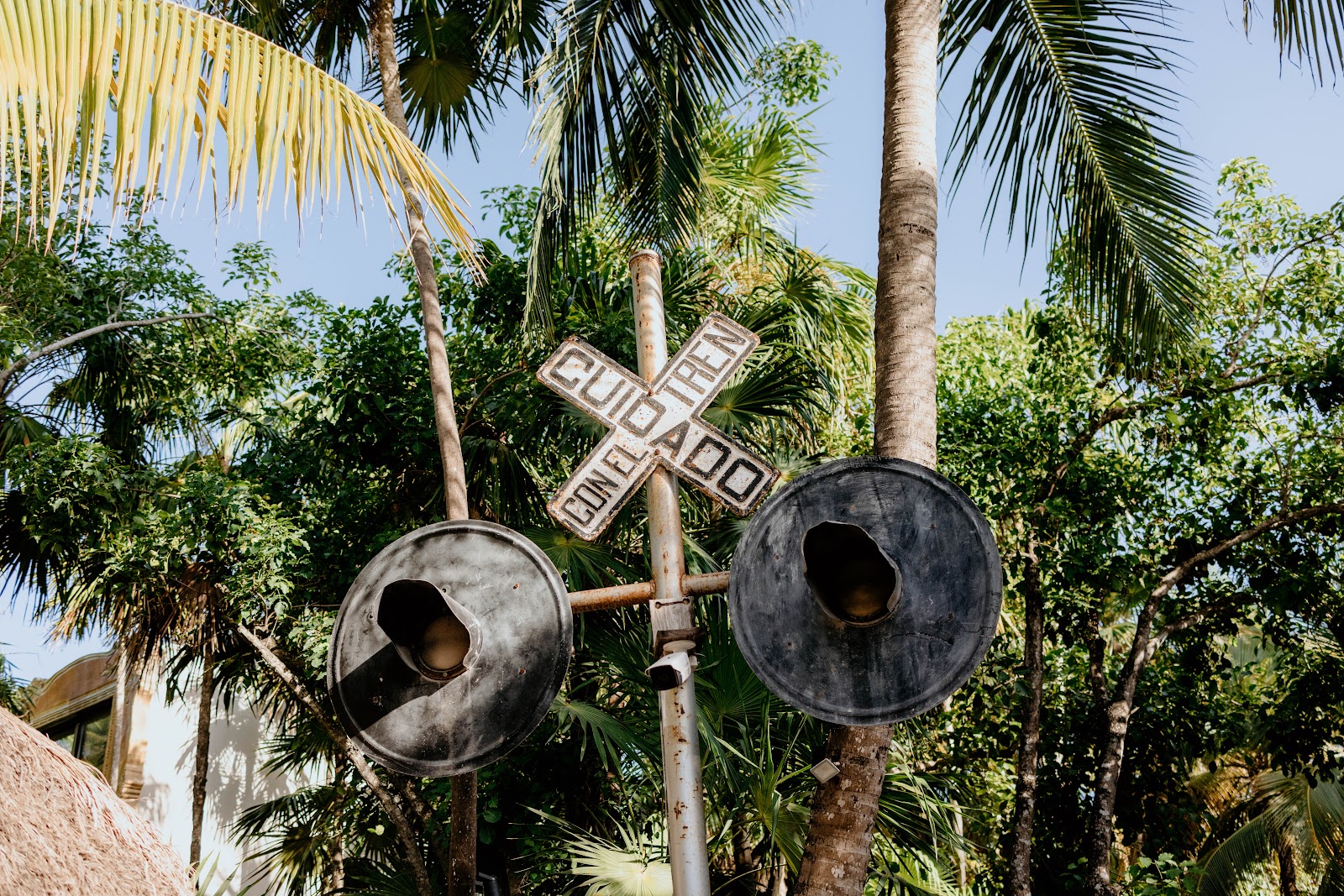 Sculptures among tropical plants in the garden