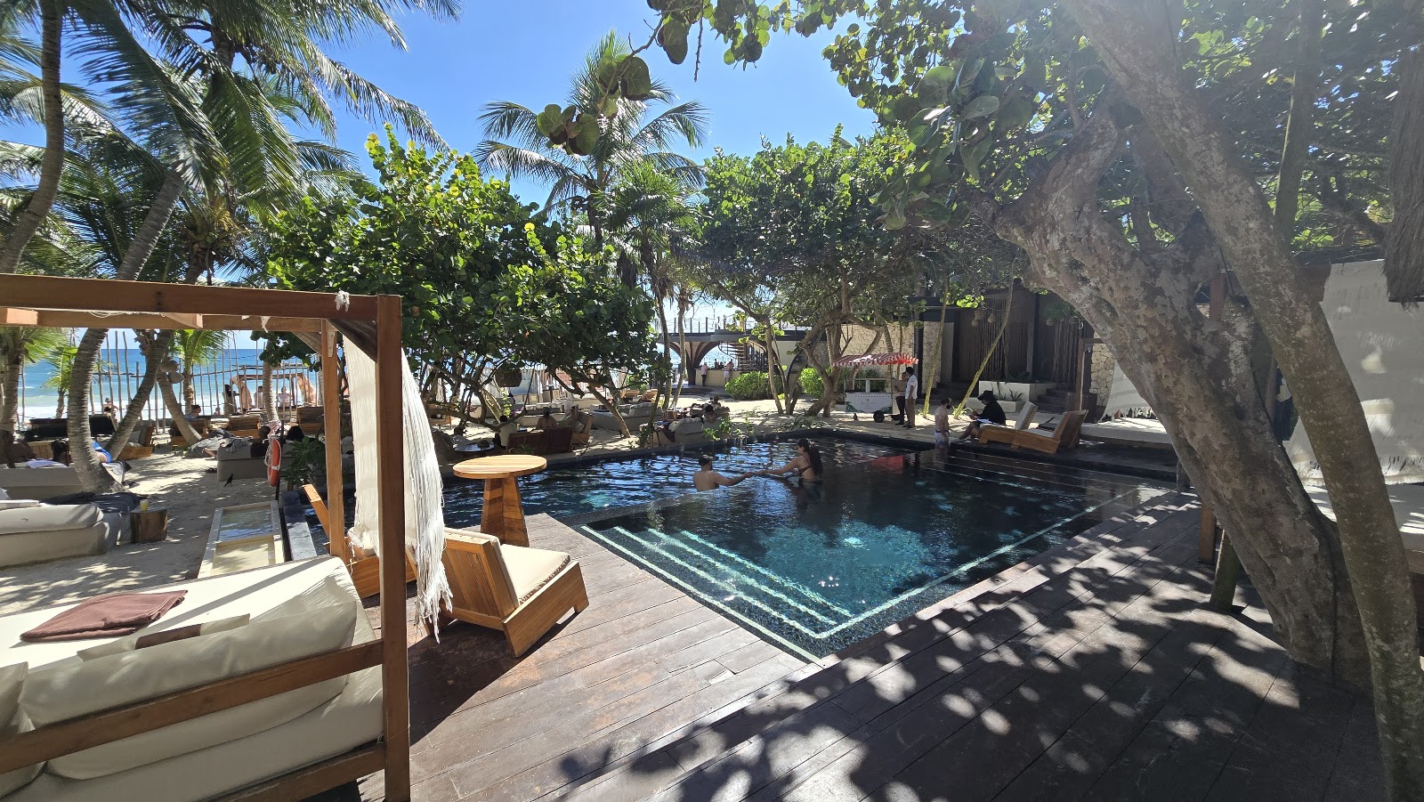 Shaded daybeds around the pool under palm trees