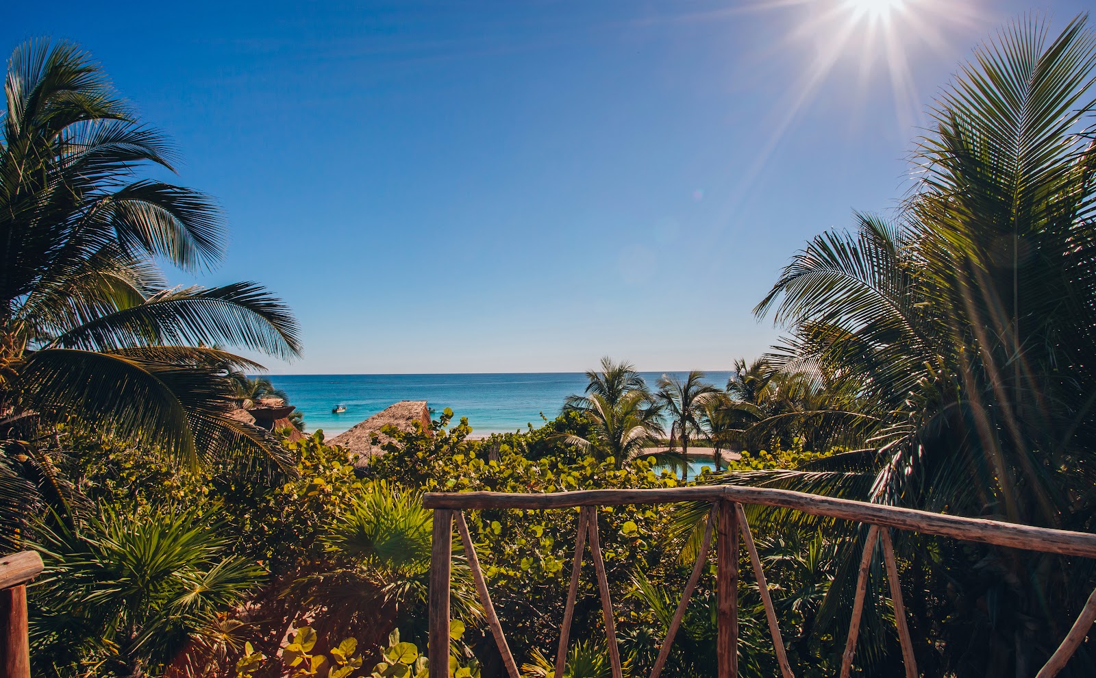 Sunshine over the jungle and the sea