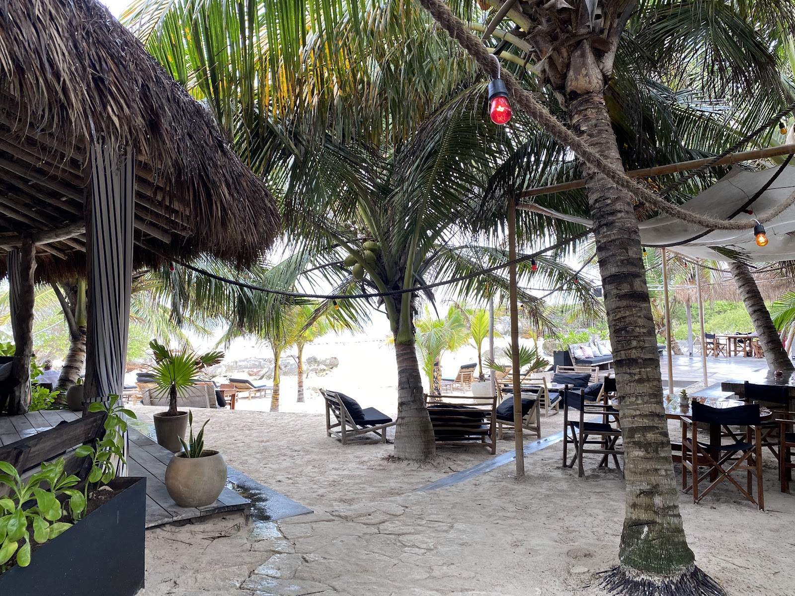 Tables under palm trees with a view of the sea