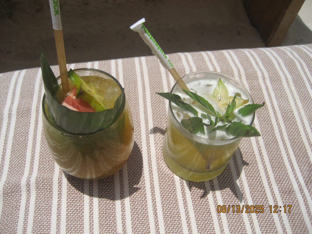 Two fresh cocktails with herbs served at Tantra Tulum