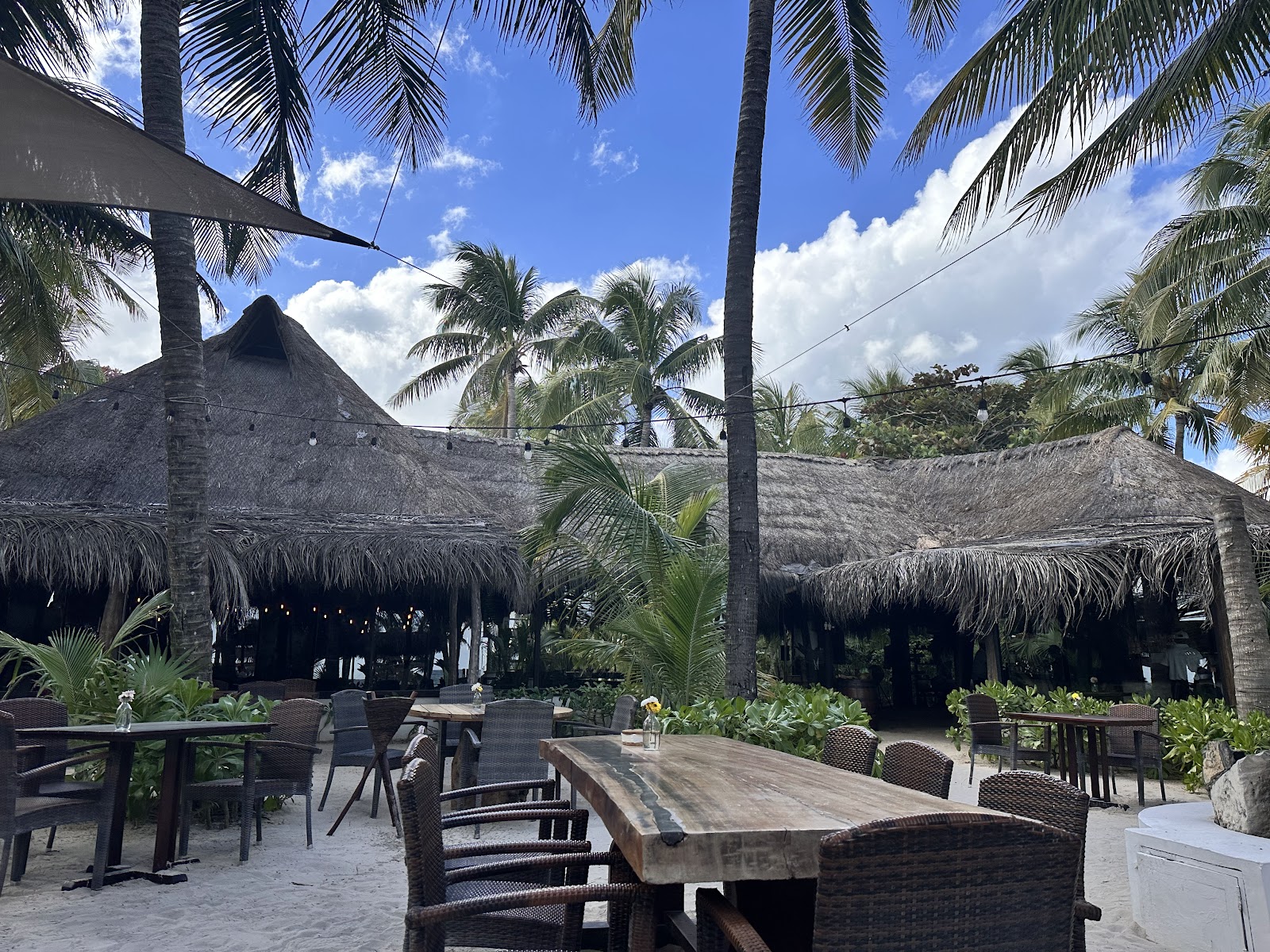 Thatched palapas and lounge seating among palm trees
