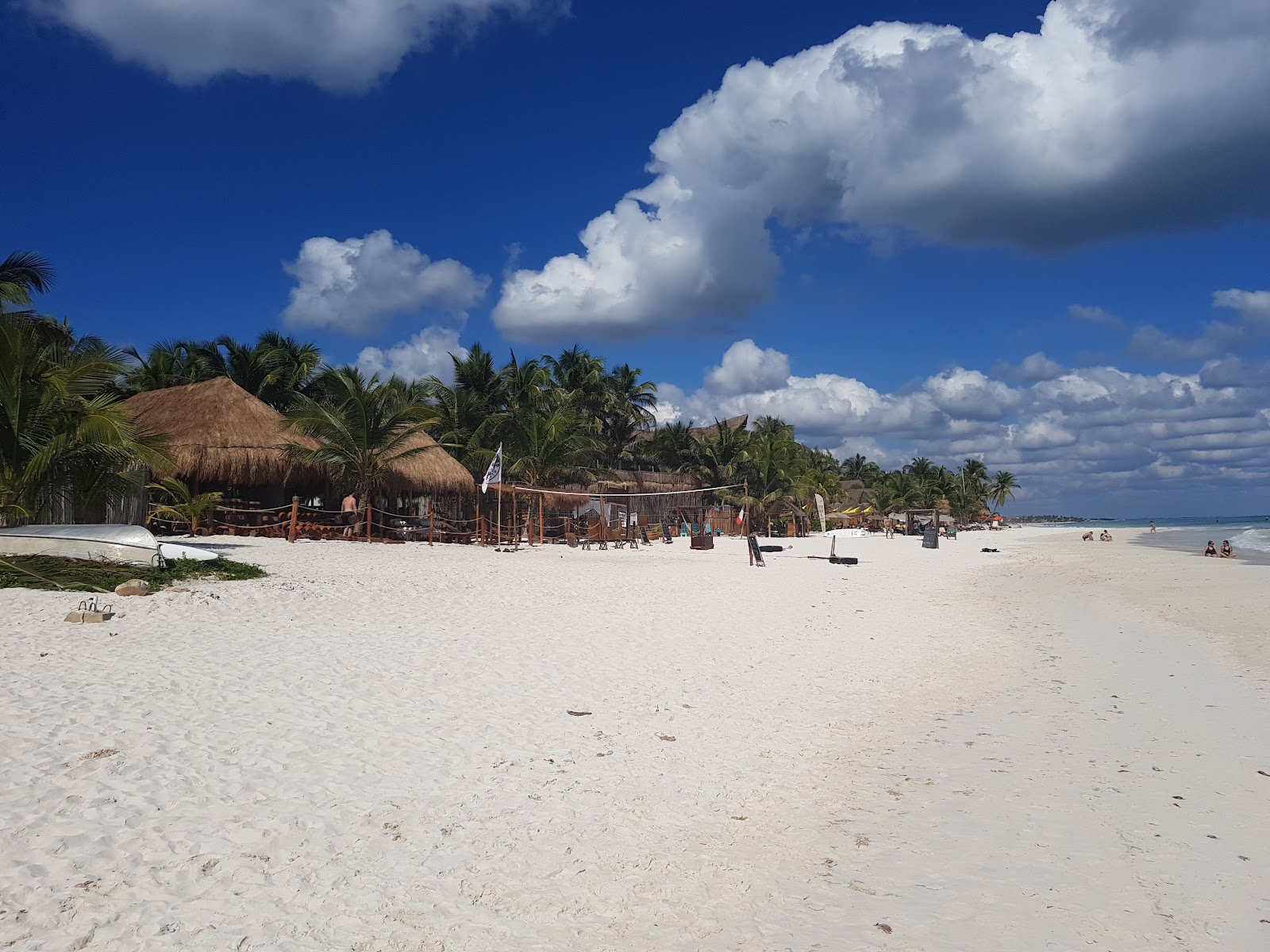 Thatched palapas along a natural stretch of beach