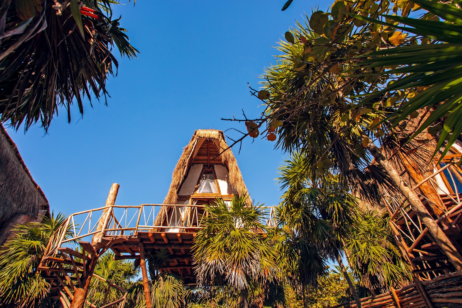 Thatched villa rising above the palm trees