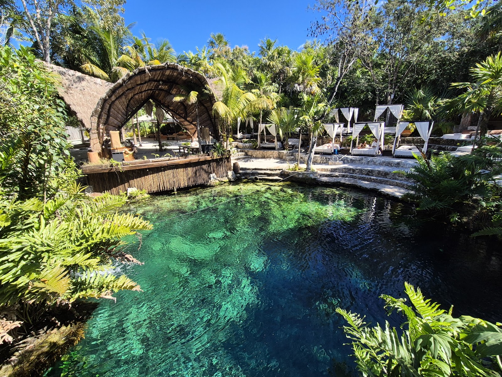Turquoise cenote surrounded by jungle at Vesica Tulum