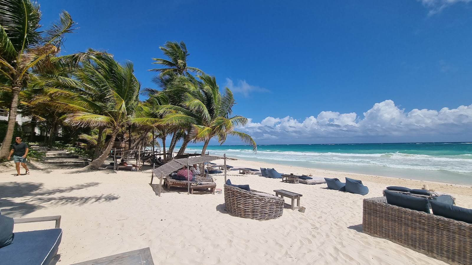 White sand beach lined with loungers