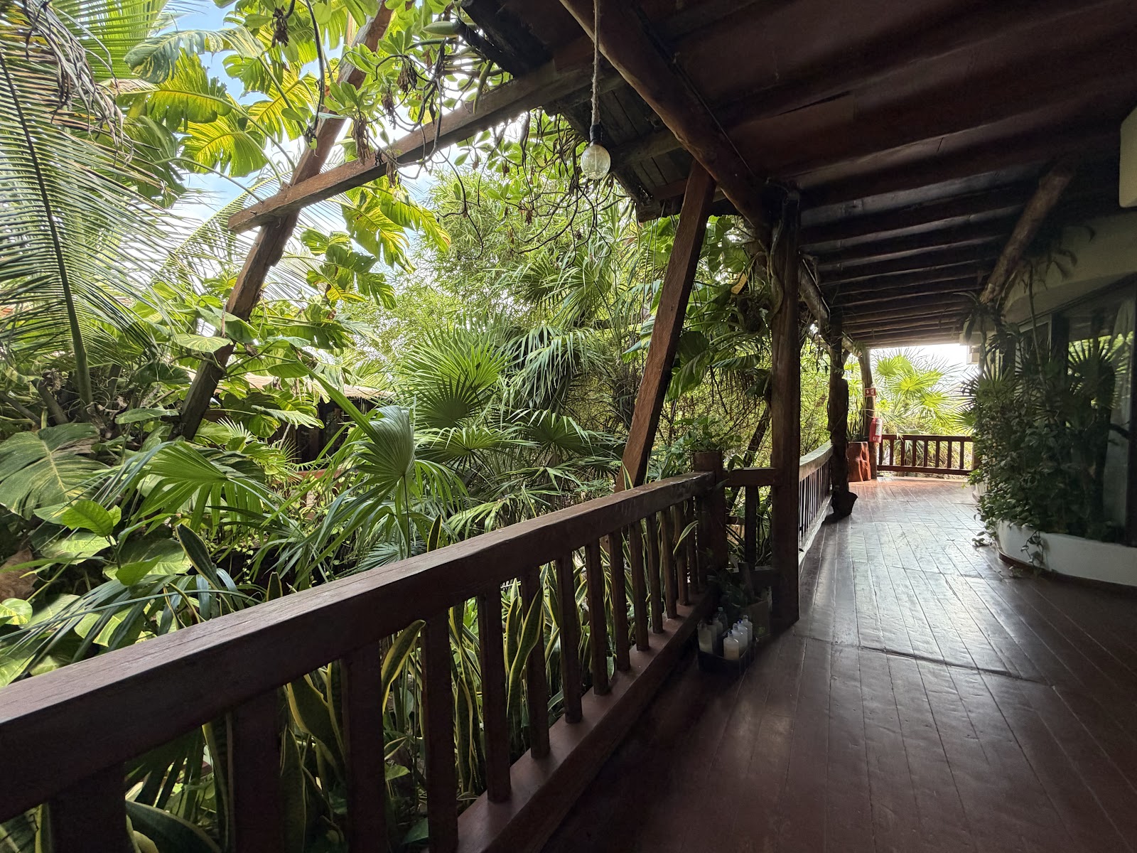 Wooden balcony surrounded by the jungle