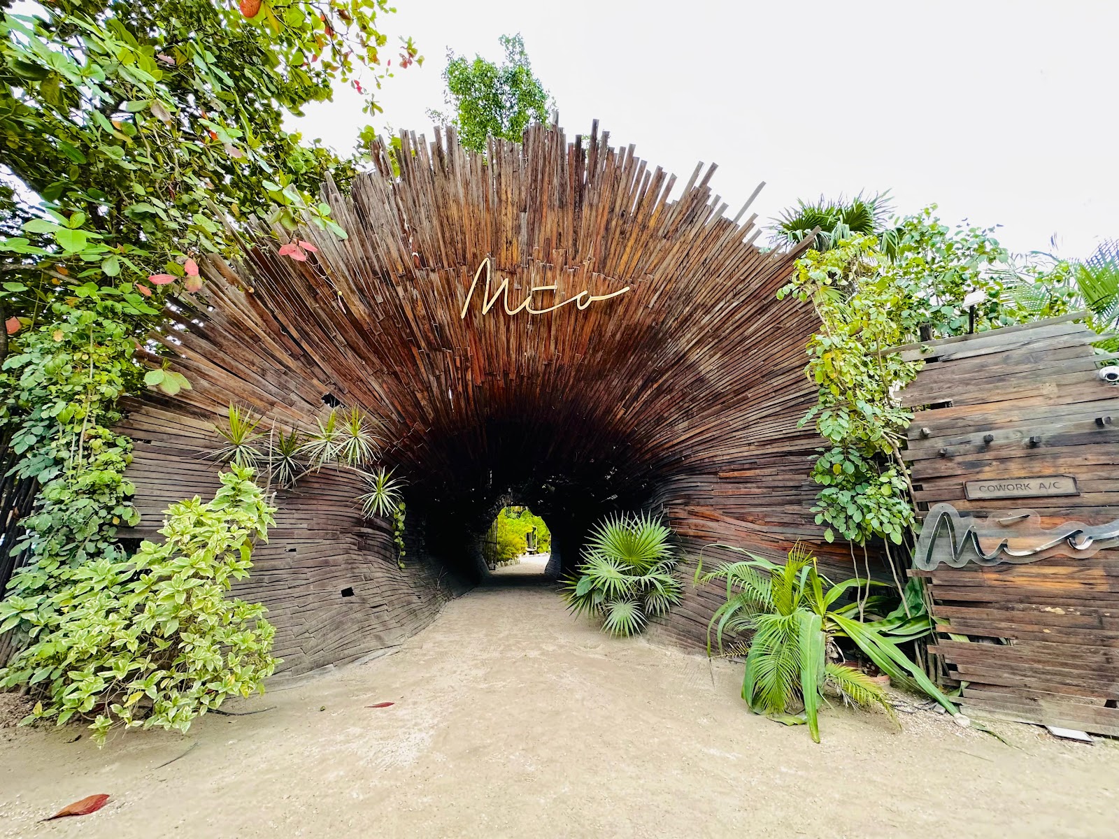 Woven palm tunnel entrance