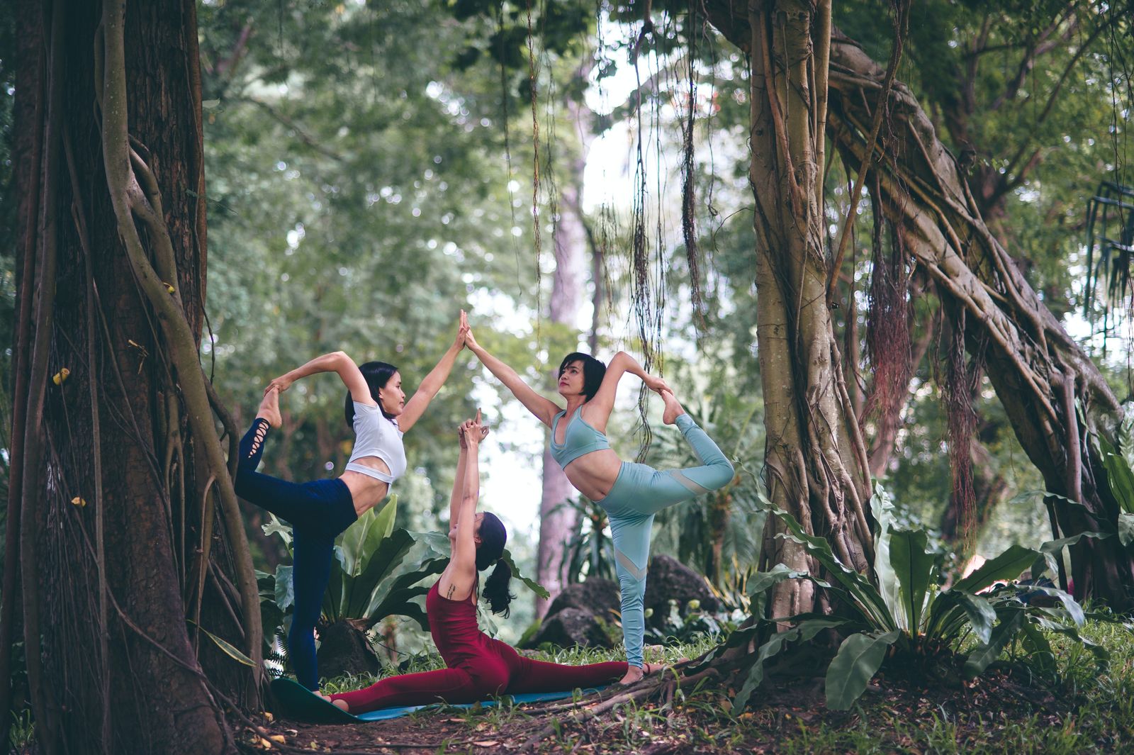 Group practicing yoga among jungle trees